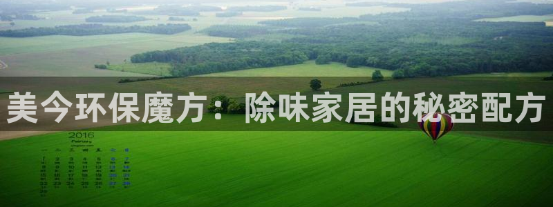 杏耀平台官方网站下载：美今环保魔方：除味家居的秘密配方