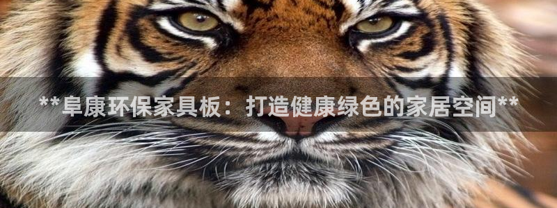 杏耀平台地址：**阜康环保家具板：打造健康绿色的家居空间**