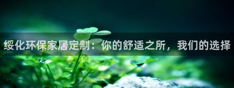 杏耀平台测：绥化环保家居定制：你的舒适之所，我们的选择