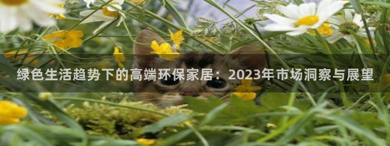 杏耀平台登录网址是什么：绿色生活趋势下的高端环保家居：202