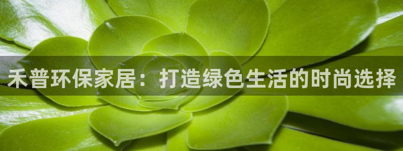 杏耀是什么平台