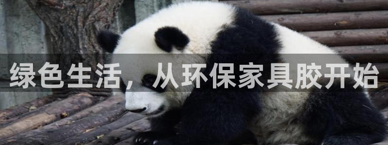 杏耀平台还在吗：绿色生活，从环保家具胶开始