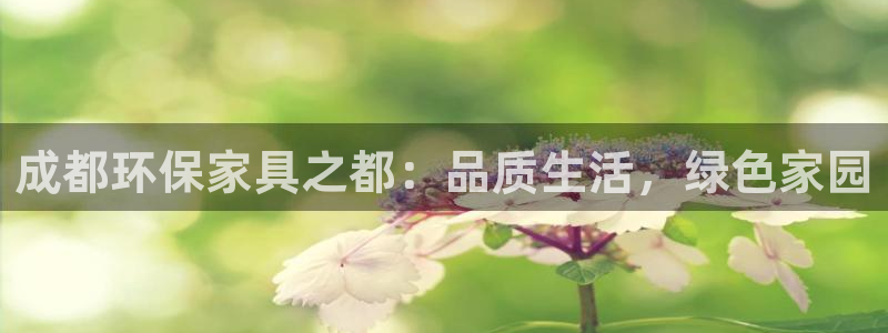 杏耀平台代理登录网址是多少：成都环保家具之都：品质生活，绿色
