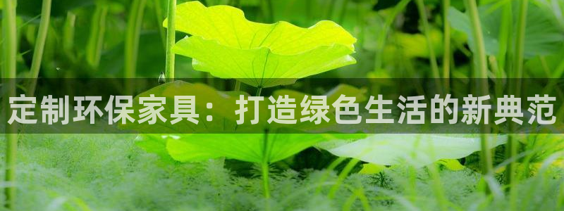 杏耀平台登录首页：定制环保家具：打造绿色生活的新典范