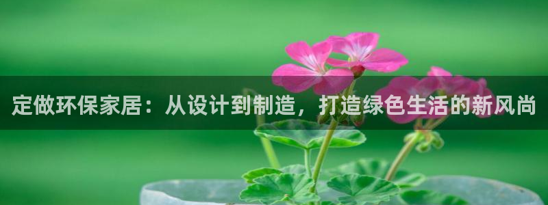 杏耀平台官网：定做环保家居：从设计到制造，打造绿色生活的新风