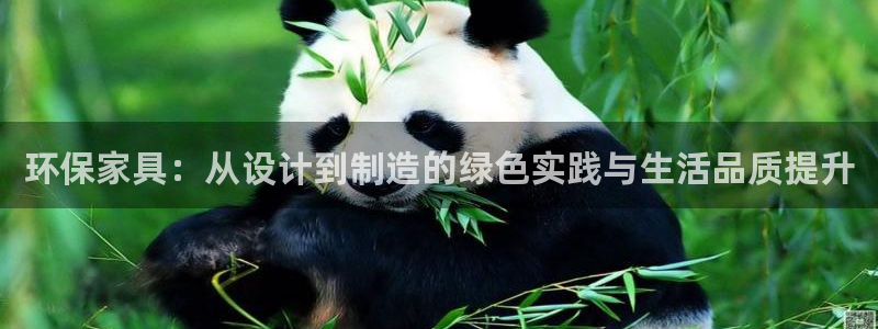杏耀登陆测速：环保家具：从设计到制造的绿色实践与生活品质提升