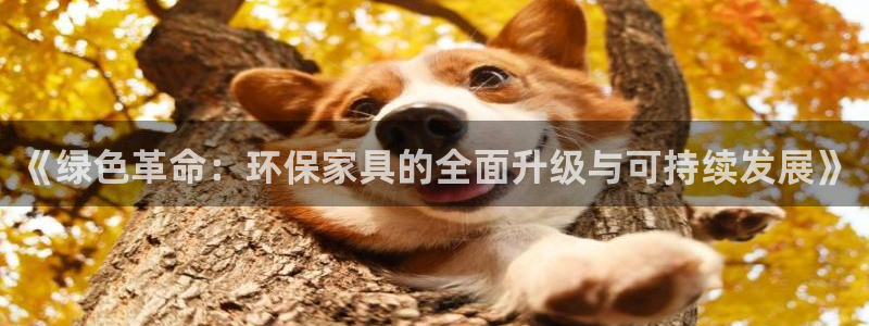 杏耀平台在线注册：《绿色革命：环保家具的全面升级与可持续发展